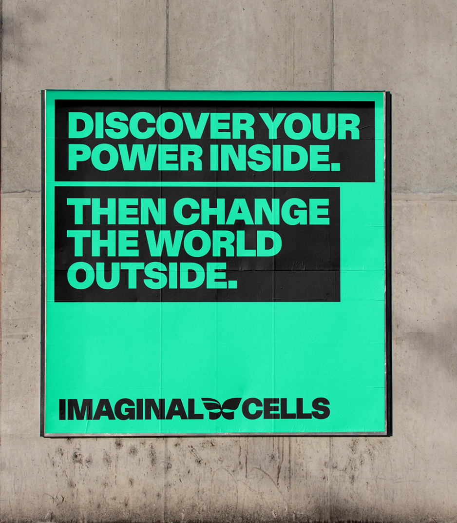 imaginalcellsposter imaginalcellsposter